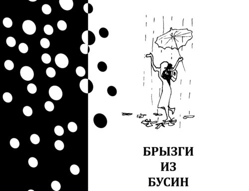 БРИЗКИ З НАМИСТА. Васильченко Е. В.